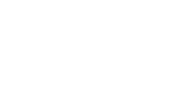 Radio DAB+ Techniradio Technisat compatible application Technisat Connect